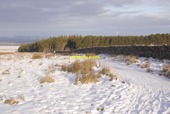 Photo 6"x4" Currie to Maiden's Cleugh path Currie c2016