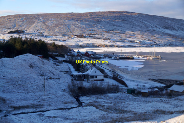 Photo 6"x4" Lower Voe Hillside\/HU4063 c2016