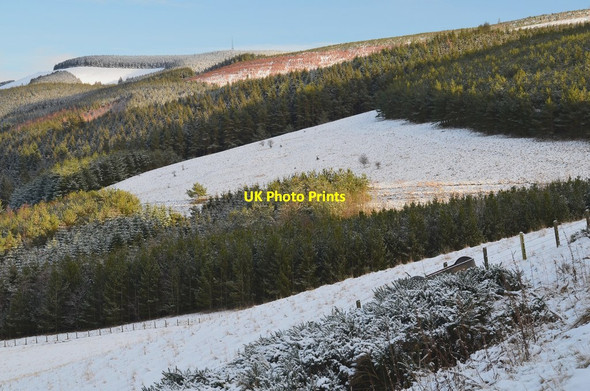 Photo 6"x4" Glentress plantations Peebles\/NT2540 c2016