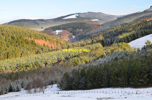Photo 6"x4" Glentress Forest, Soonhope Glen Peebles\/NT2540 c2016