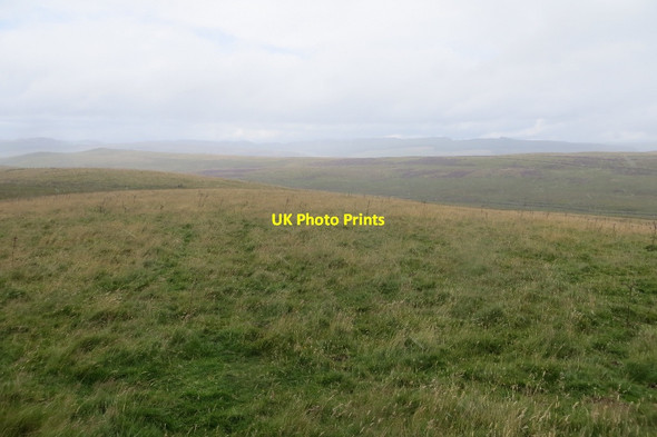Photo 6"x4" Grassland above Strath Braan Trochry c2015