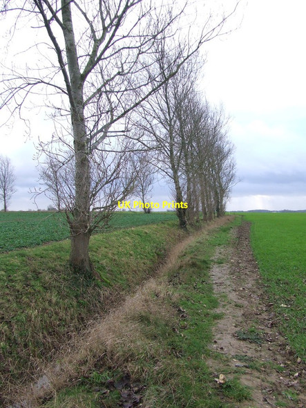 Photo 6"x4" Trees And Ditch Bush Green\/TM2187 c2016