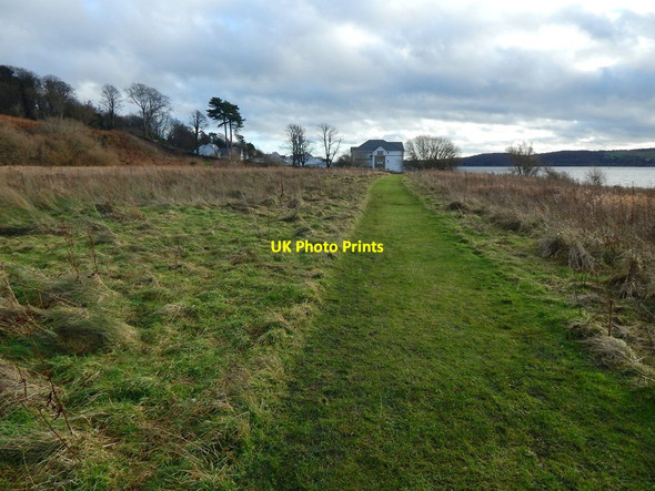 Photo 6"x4" Path in Havoc Grassland Dumbarton c2015