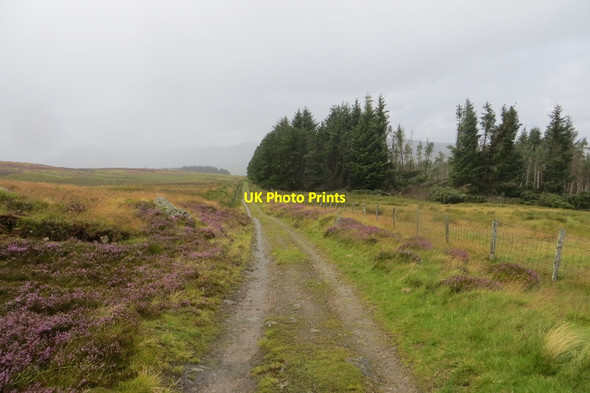 Photo 6"x4" Little Glen Shee to Strath Braan Road Trochry c2015