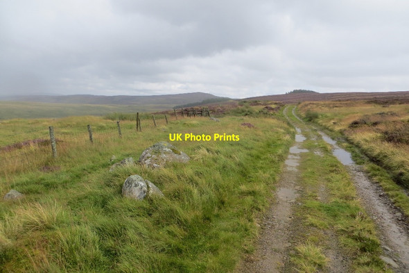 Photo 6"x4" Strath Braan to Little Glenshee road Trochry c2015