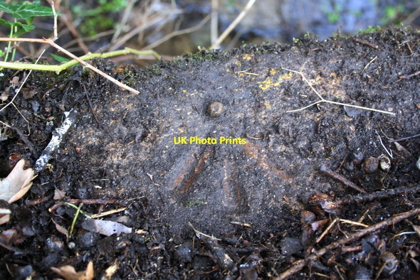 Photo 6"x4" Benchmark on culvert beside Southern By-Pass Road Oxford\/SP5106 c2016