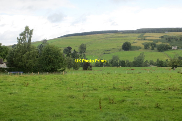 Photo 6"x4" Field, Trochry Trochry c2015