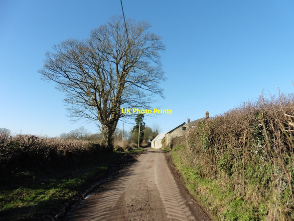 Photo 6"x4" Approaching Madgeon Farm Bishopswood c2016