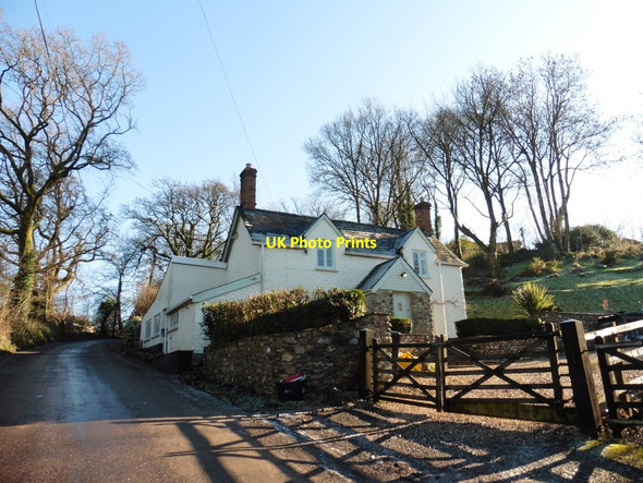Photo 6"x4" Cottage at Royston Water Churchinford c2016