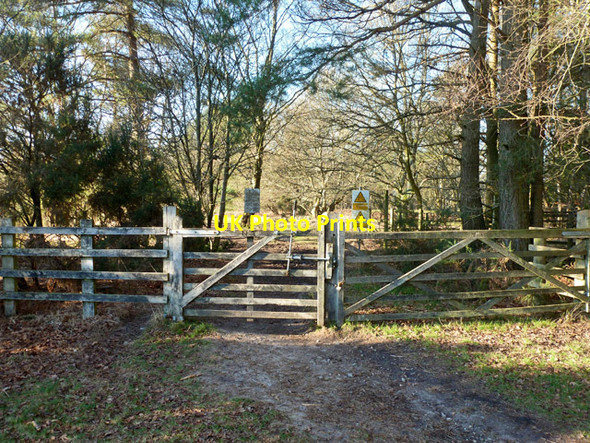 Photo 6"x4" Gate to MOD land, Bramshott Common Hammer Bottom c2016