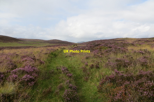 Photo 6"x4" Path from Glen Garr Birnam c2015