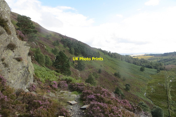 Photo 6"x4" Glen Garr Birnam c2015