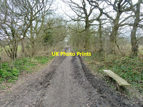 Photo 6"x4" Roding Valley Meadows Nature Reserve - track Loughton\/TQ4396 c2013