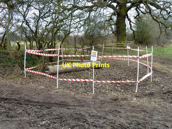 Photo 6"x4" Roding Valley Meadows Nature Reserve - hazard Loughton\/TQ4396 c2013