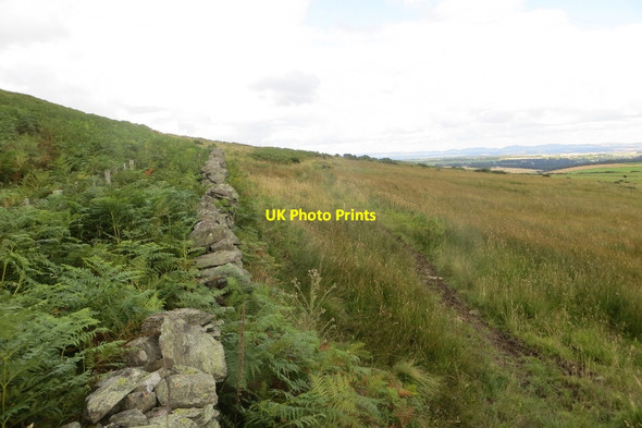 Photo 6"x4" Glen Garr path: boundary of farmland Waterloo\/NO0536 c2015