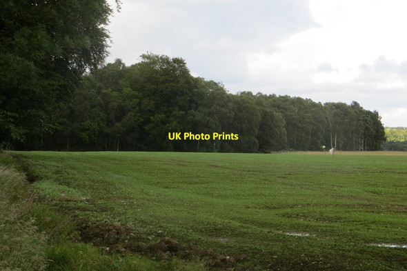 Photo 6"x4" Winter cereals Waterloo\/NO0536 c2015