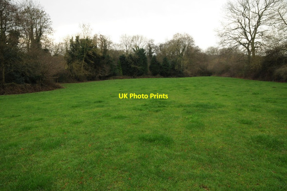 Photo 6"x4" Field near Wacton Green Bredenbury c2015