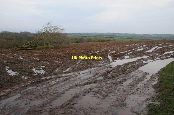 Photo 6"x4" Very wet farmland at Wacton Bredenbury c2015