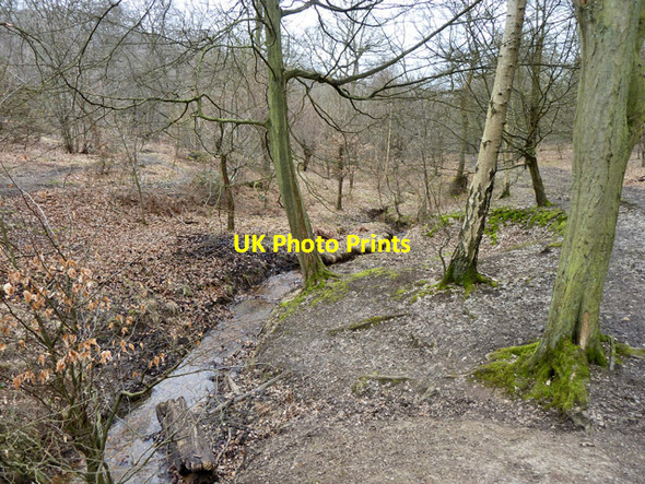 Photo 6"x4" Stream in Epping Forest Loughton\/TQ4396 c2013