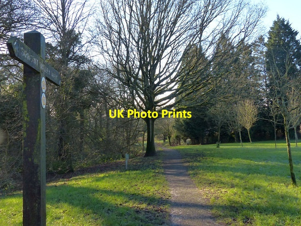 Photo 6"x4" A frosty morning in Coed Melyn Park (1) Newport\/Casnewydd c2016