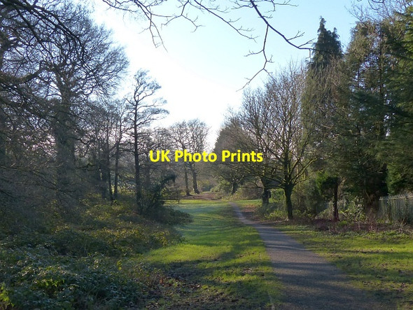 Photo 6"x4" A frosty morning in Coed Melyn Park (2) Newport\/Casnewydd c2016