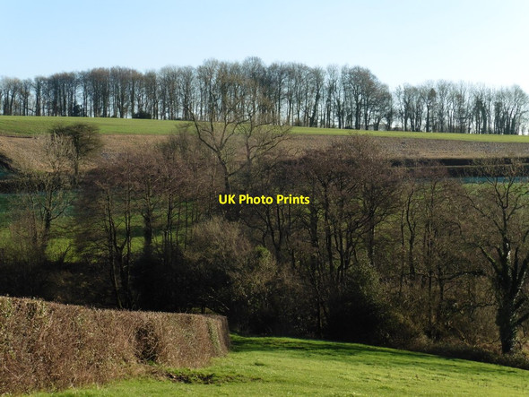 Photo 6"x4" Valley, south of Northay Whitestaunton c2016