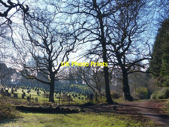 Photo 6"x4" A frosty morning in Coed Melyn Park (3) Newport\/Casnewydd c2016