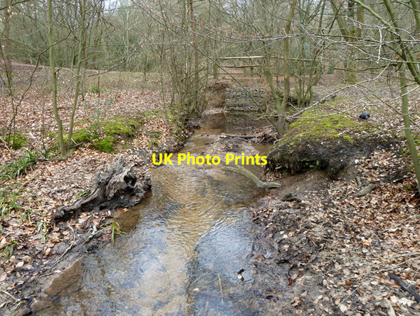 Photo 6"x4" Stream in Epping Forest Loughton\/TQ4396 c2013 P1
