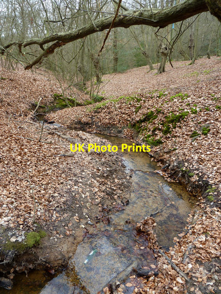 Photo 6"x4" Stream in Epping Forest Loughton\/TQ4396 c2013 P1