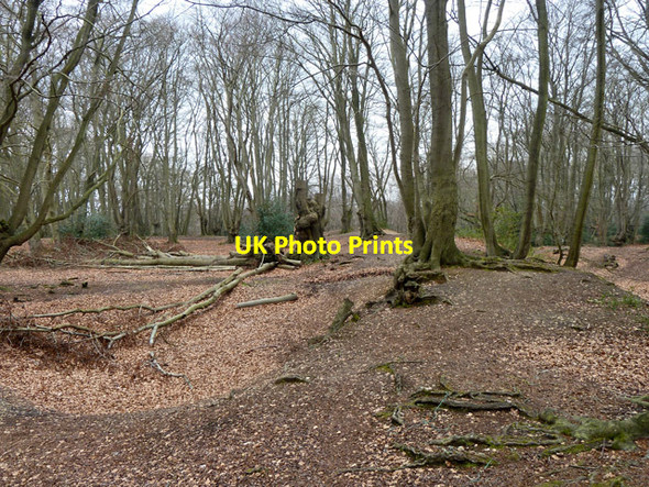 Photo 6"x4" Loughton Camp, Epping Forest Loughton\/TQ4396 c2013