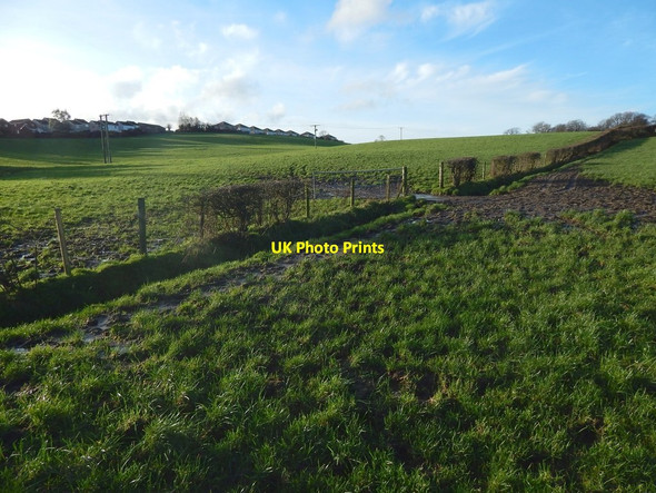 Photo 6"x4" Field boundary with gate Ardoch\/NS3676 c2015