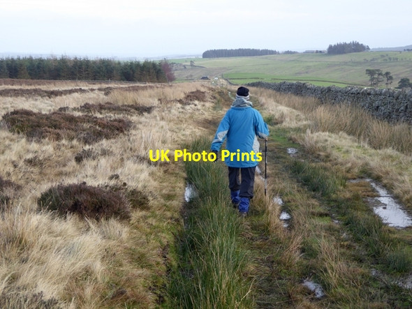 Photo 6"x4" Bridleway near Burntridge Plantation Rawgreen c2016