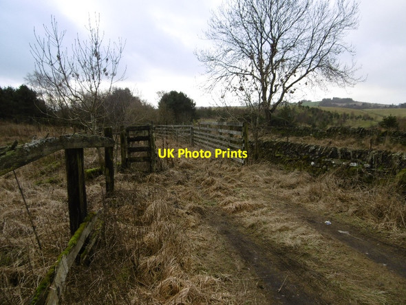 Photo 6"x4" Old stock loading pens, Forfar Forfar c2016