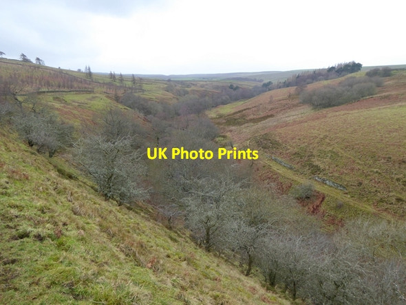 Photo 6"x4" Looking up the valley of the Rowley Burn Rawgreen c2016
