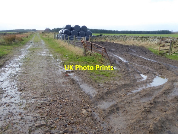 Photo 6"x4" Bales at Burntridge Dalton\/NY9158 c2016