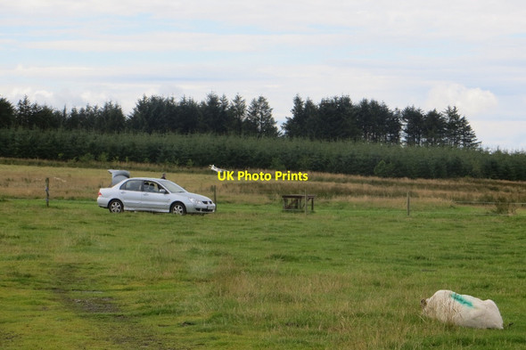 Photo 6"x4" Model aircraft flying, Hartfield Uplawmoor c2015