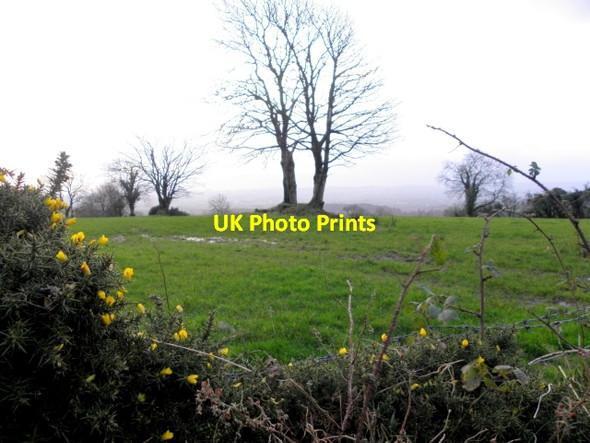 Photo 6"x4" Tycanny Townland Garvaghy c2016