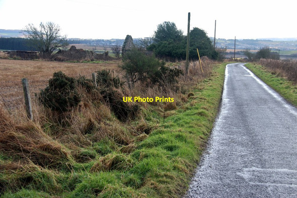 Photo 6"x4" Cranshade at Ballinshoe Forfar c2016