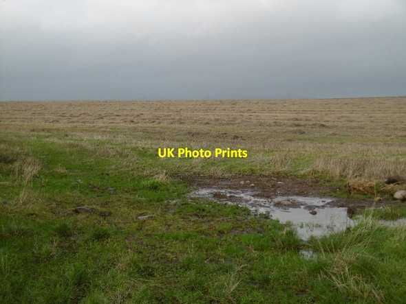 Photo 6"x4" Straw, Mains of Ardovie Brechin c2016