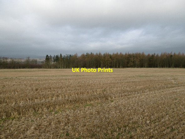 Photo 6"x4" Arable land near Brechin Brechin c2016