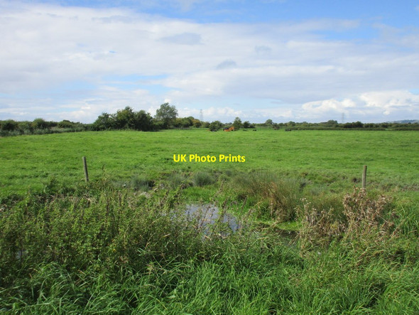 Photo 6"x4" Field at Prowses Steining Tarnock c2015