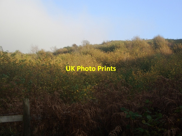 Photo 6"x4" Cwm y Gaer in autumn (4) Tythegston c2015