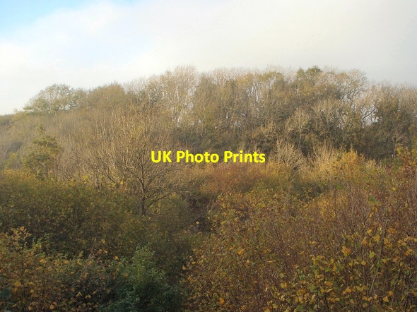 Photo 6"x4" Cwm y Gaer in autumn (5) Tythegston c2015