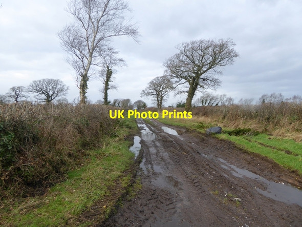 Photo 6"x4" A very muddy farm track Great Orton c2016