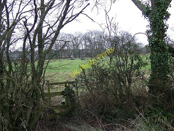 Photo 6"x4" Footpath near Holnest Longburton c2009