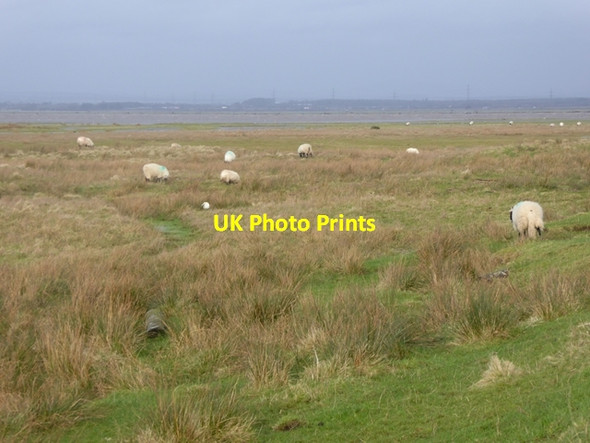 Photo 6"x4" Burgh Marsh and the Solway Firth Burgh by Sands c2016