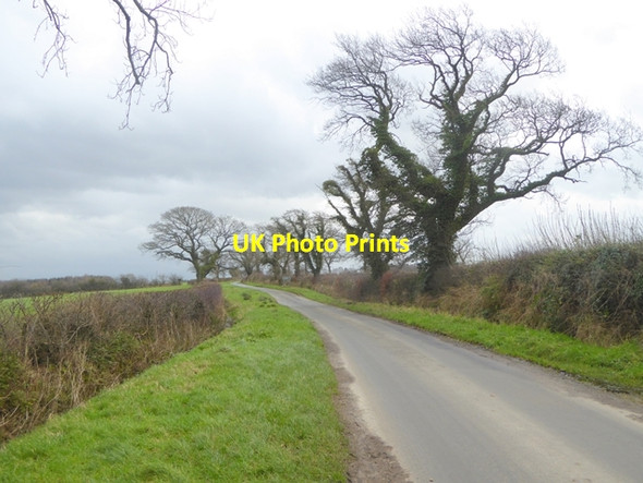 Photo 6"x4" The Carlisle road out of Great Orton Great Orton c2016