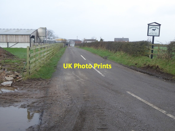 Photo 6"x4" The road to Holmesmill Farm Rockcliffe Cross c2016