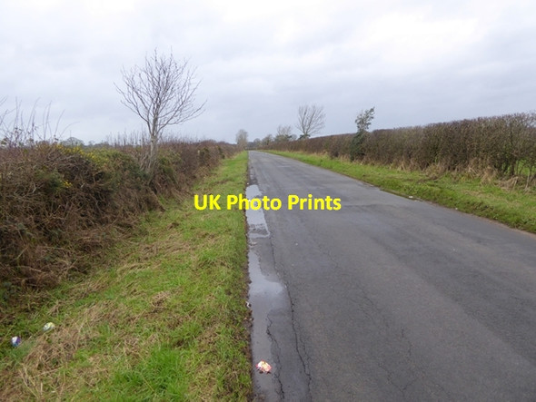 Photo 6"x4" The road to Great Orton Cardewlees c2016