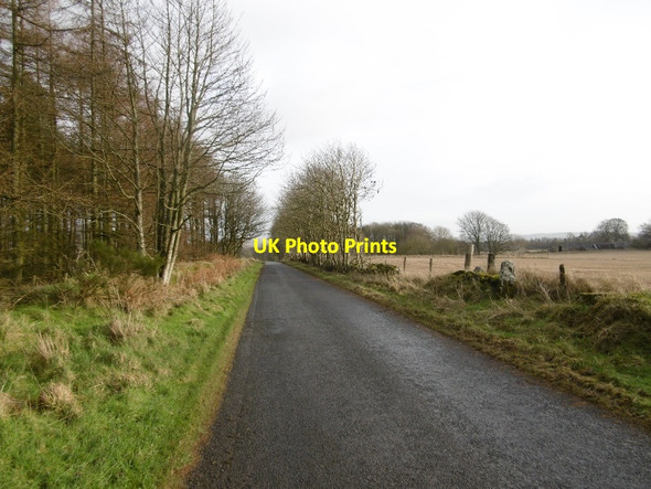 Photo 6"x4" Yellow road, Burghill Brechin c2016